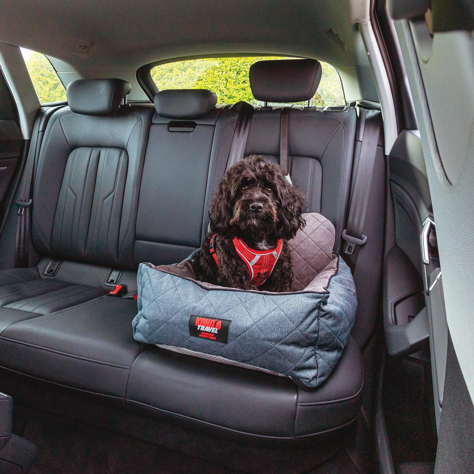 KONG Ultimate Safety Seat & Tether