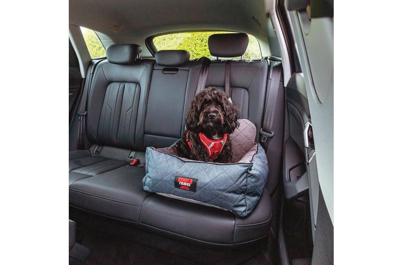 KONG Ultimate Safety Seat & Tether KONG Ultimate Safety Seat & Tether