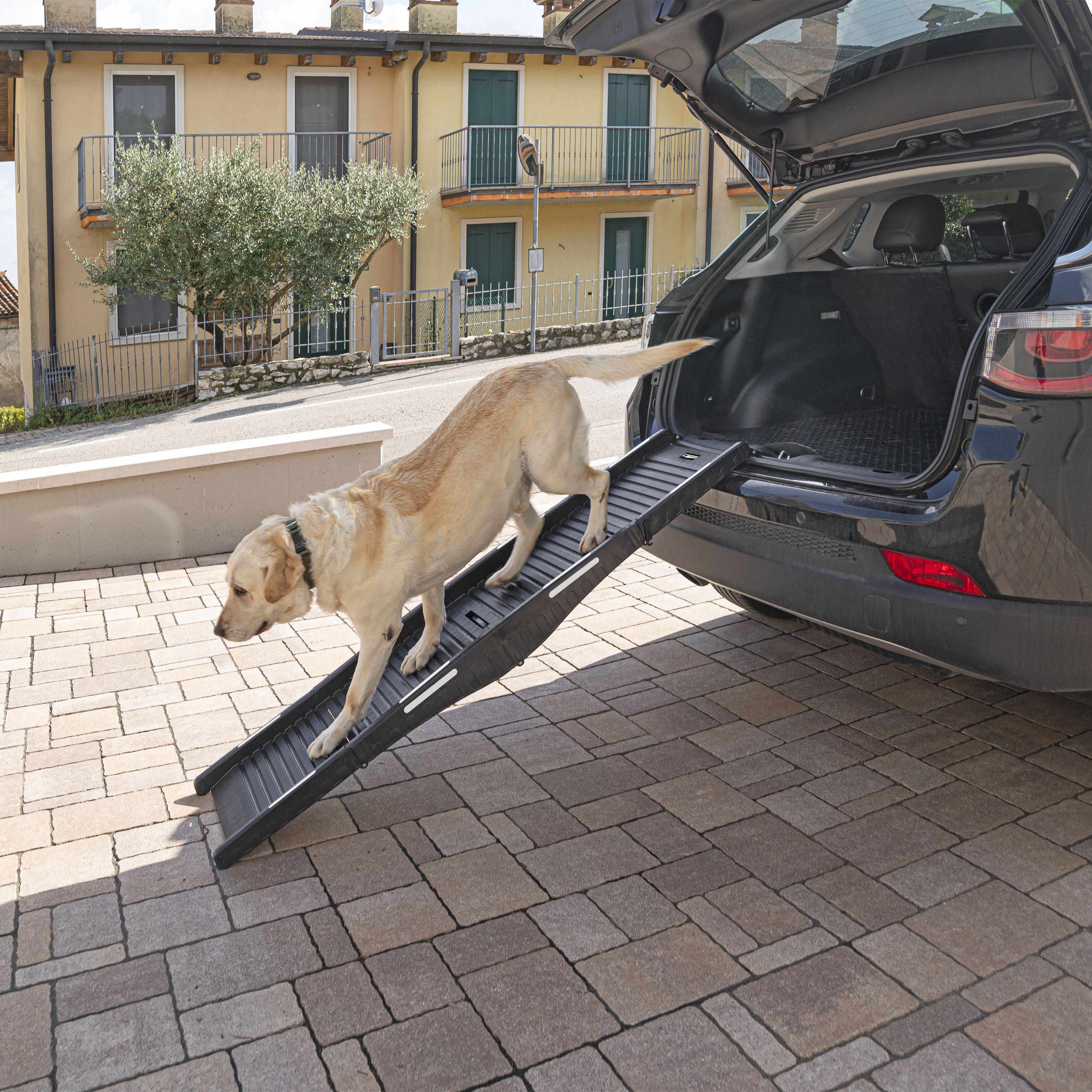 Ferplast Collapsible Plastic Dog Ramp 
