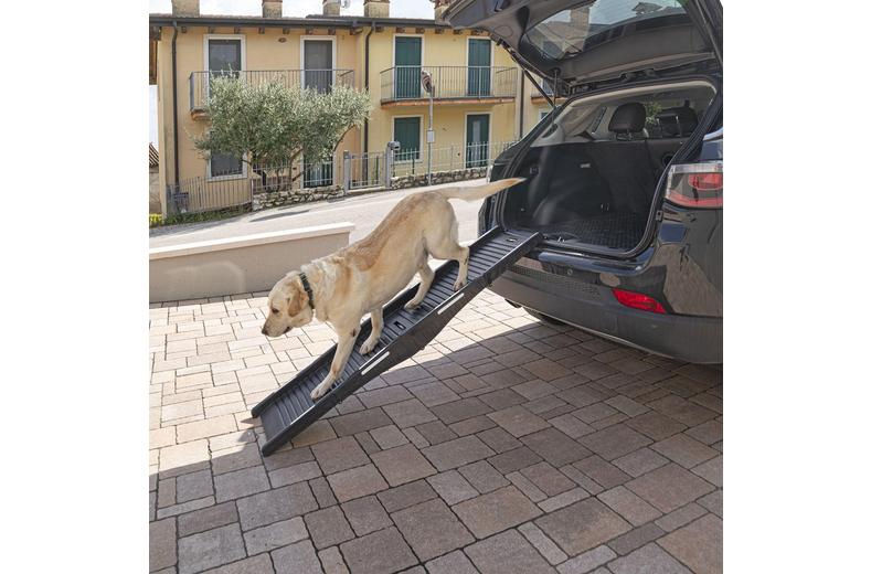 Ferplast Collapsible Plastic Dog Ramp Ferplast Collapsible Plastic Dog Ramp