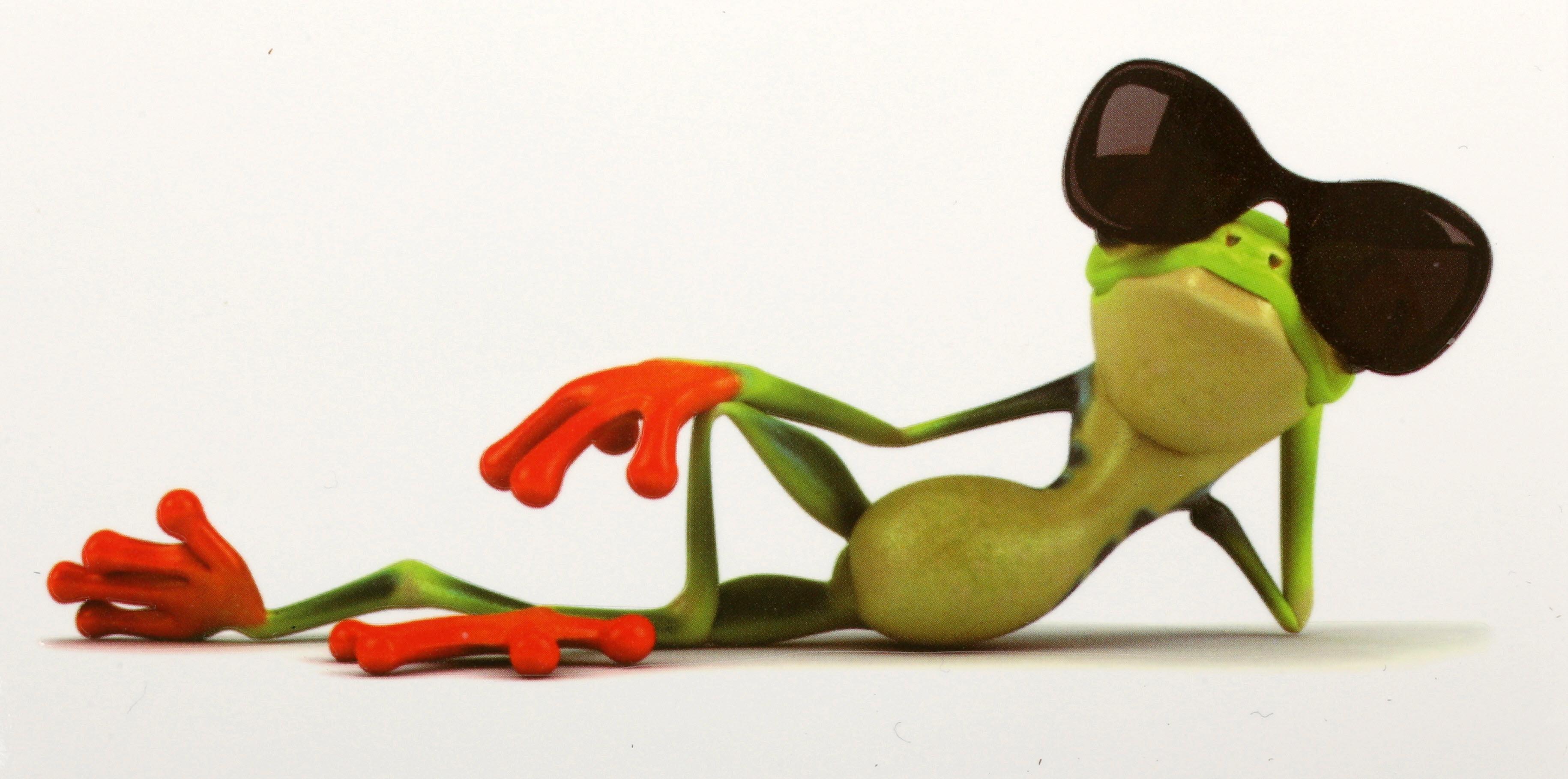 Chilling Frog Sticker