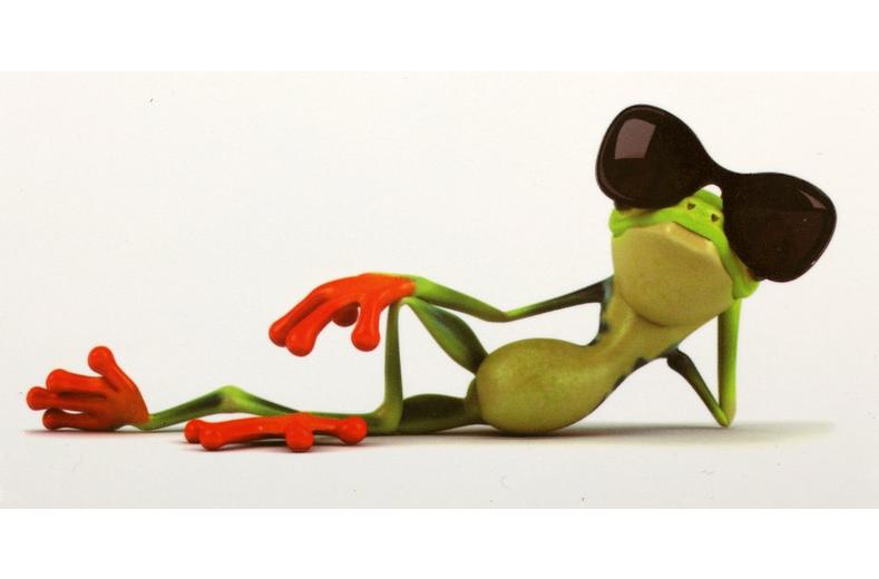 Chilling Frog Sticker Chilling Frog Sticker