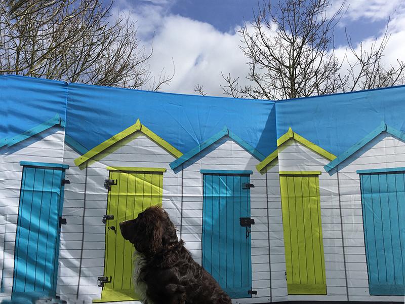 Beach Hut 4 Pole Compact Windbreak