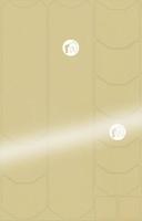 Halfords Mucky Nutz Frame Skinz Clear, White Gloss | Extra 8% off for BC Members