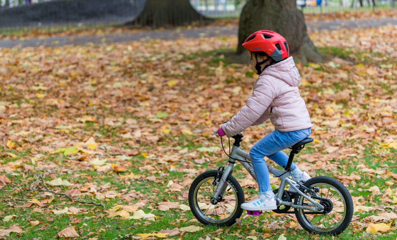 Carrera Cosmos Kids Bike - 14" Wheel - Silver