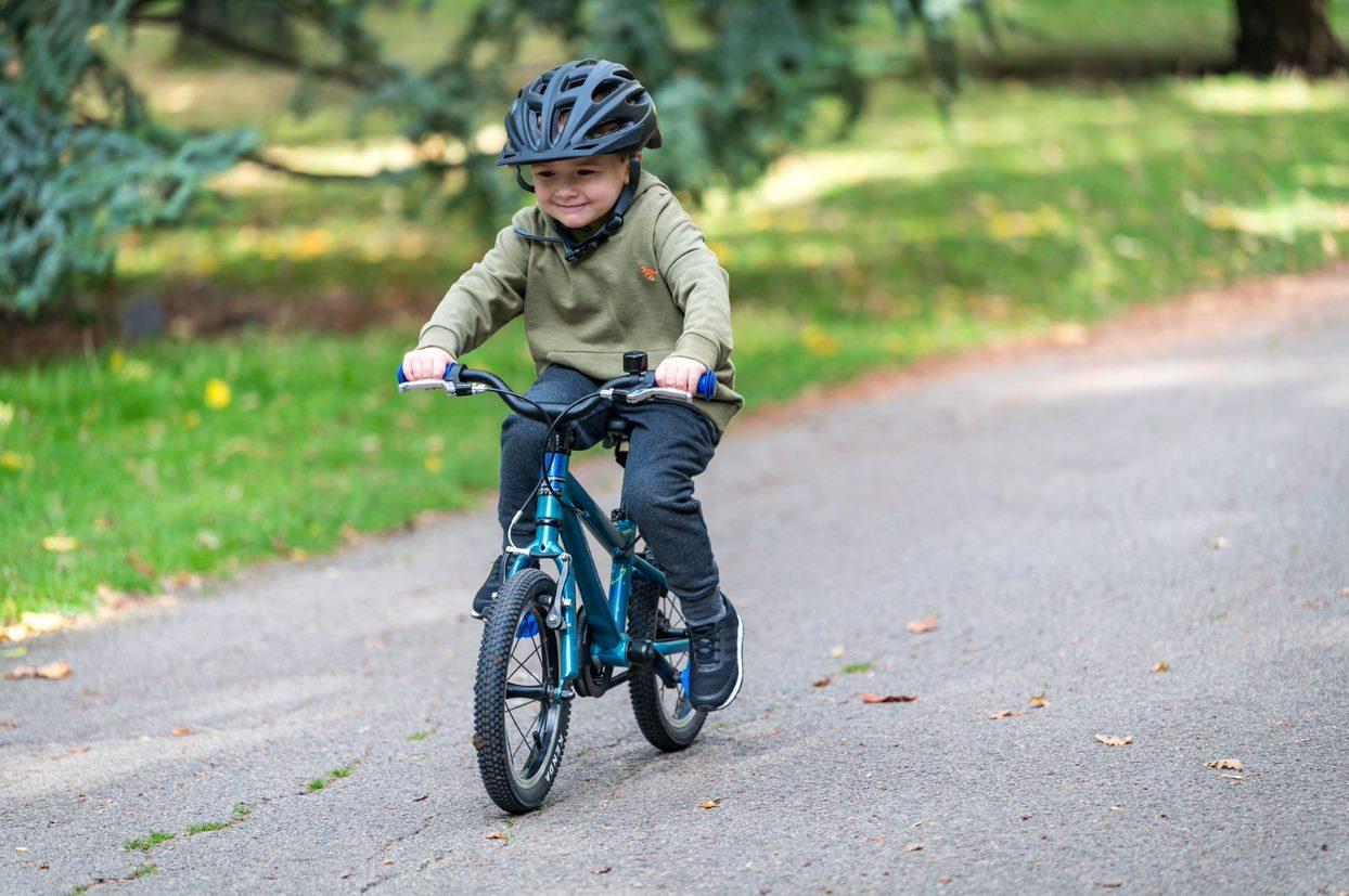 Carrera Cosmos Kids Bike - 14" Wheel - Blue