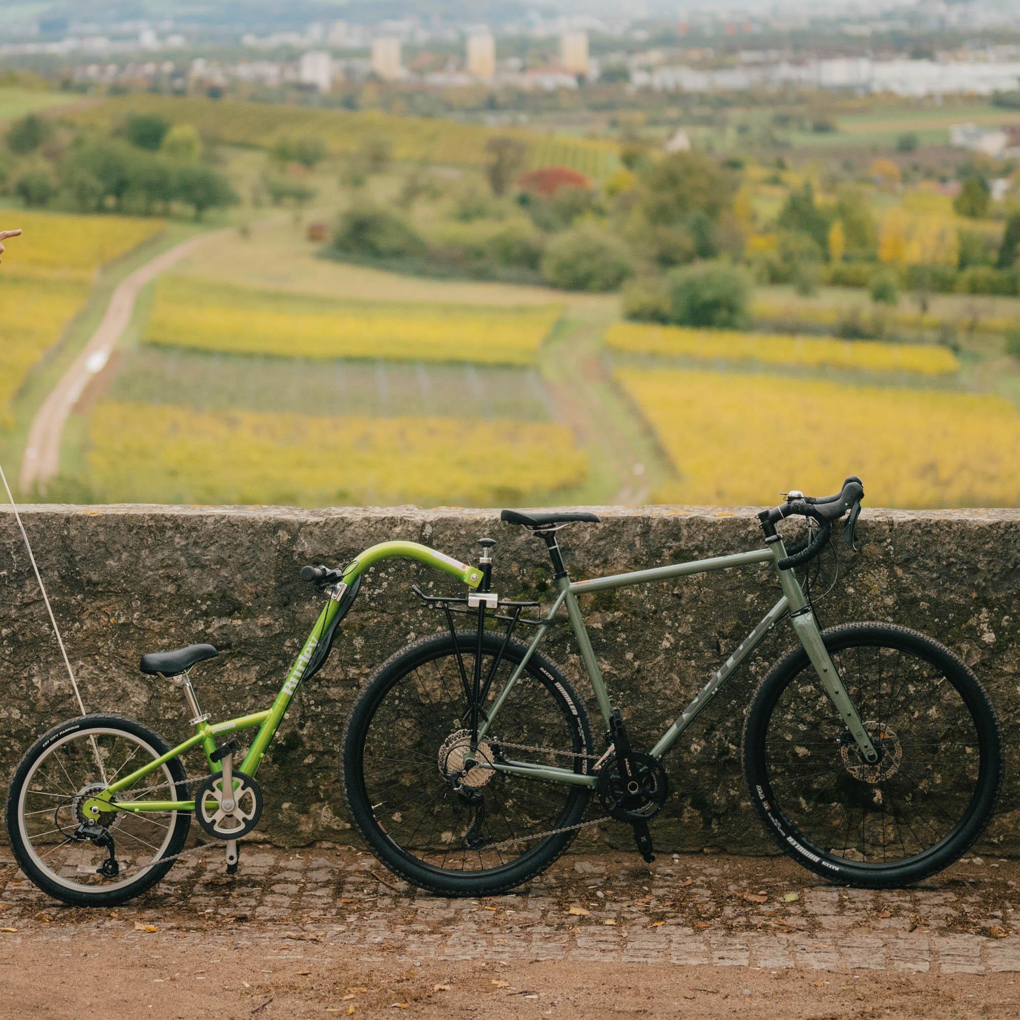 Burley Piccolo Trailer Cycle