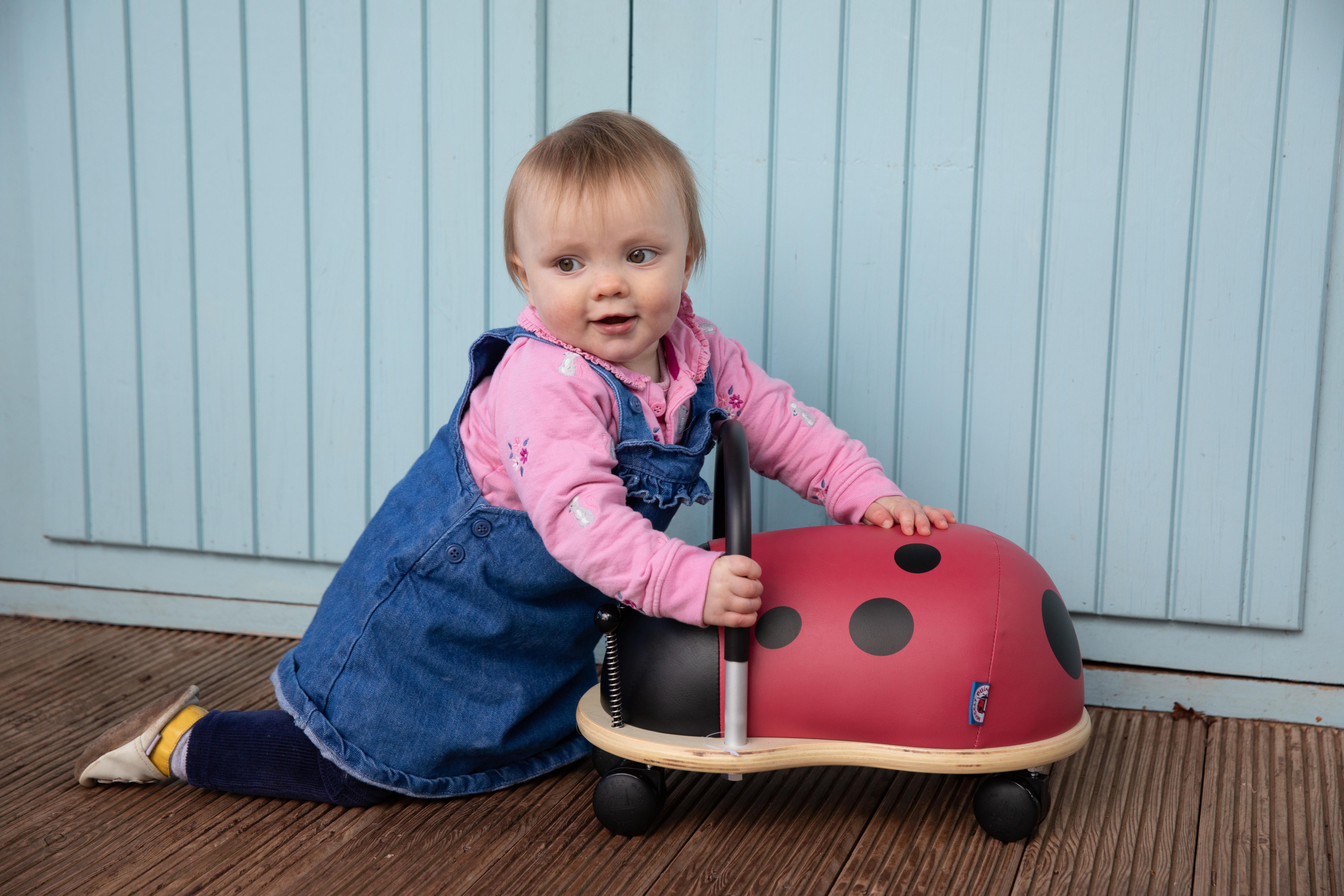 Wheely Bug Ladybird