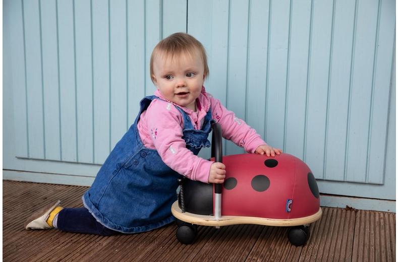 Wheely Bug Ladybird Wheely Bug Ladybird
