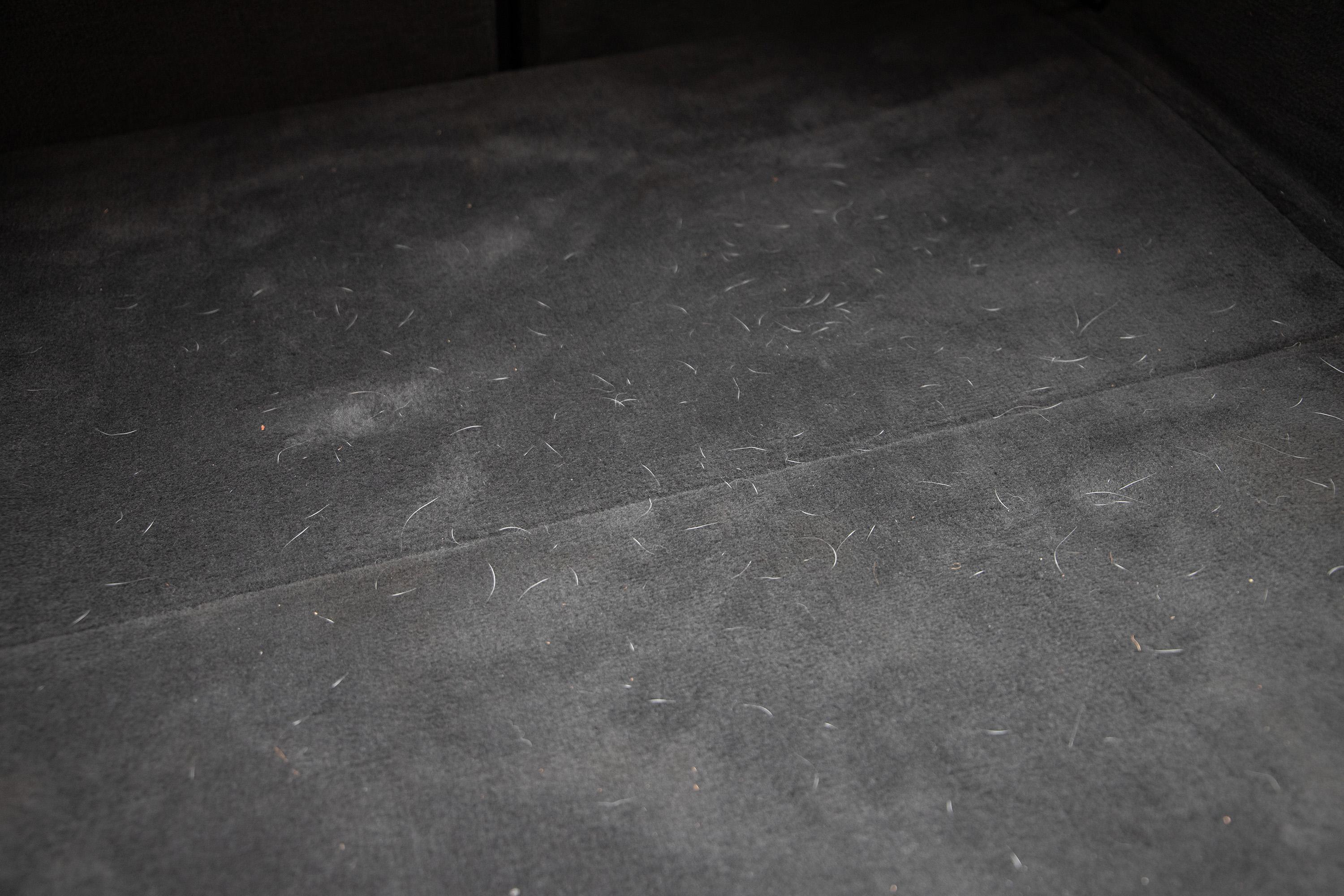 Meguiar’s Hair and Fibre Extractor Brush