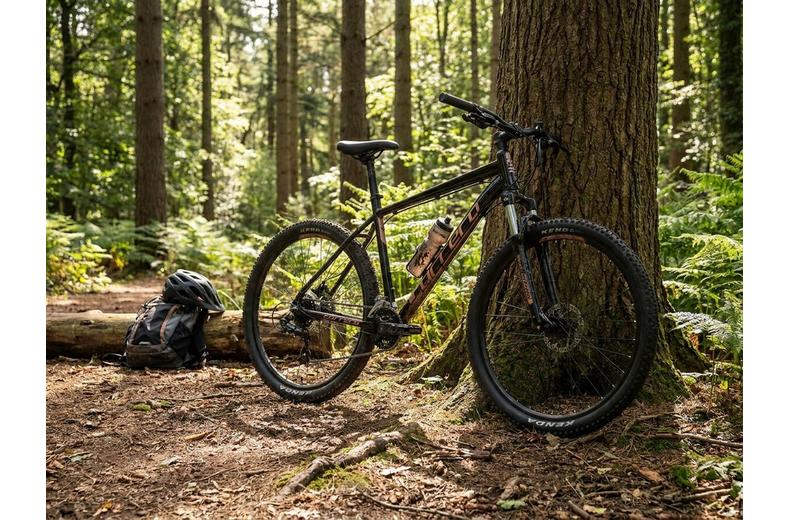 Carrera Vengeance Mens Mountain Bike - Limited Edition Black & Gold - XS, S, M, L, XL Frames Carrera Vengeance Mens Mountain Bike - Limited Edition Black & Gold - XS, S, M, L, XL Frames