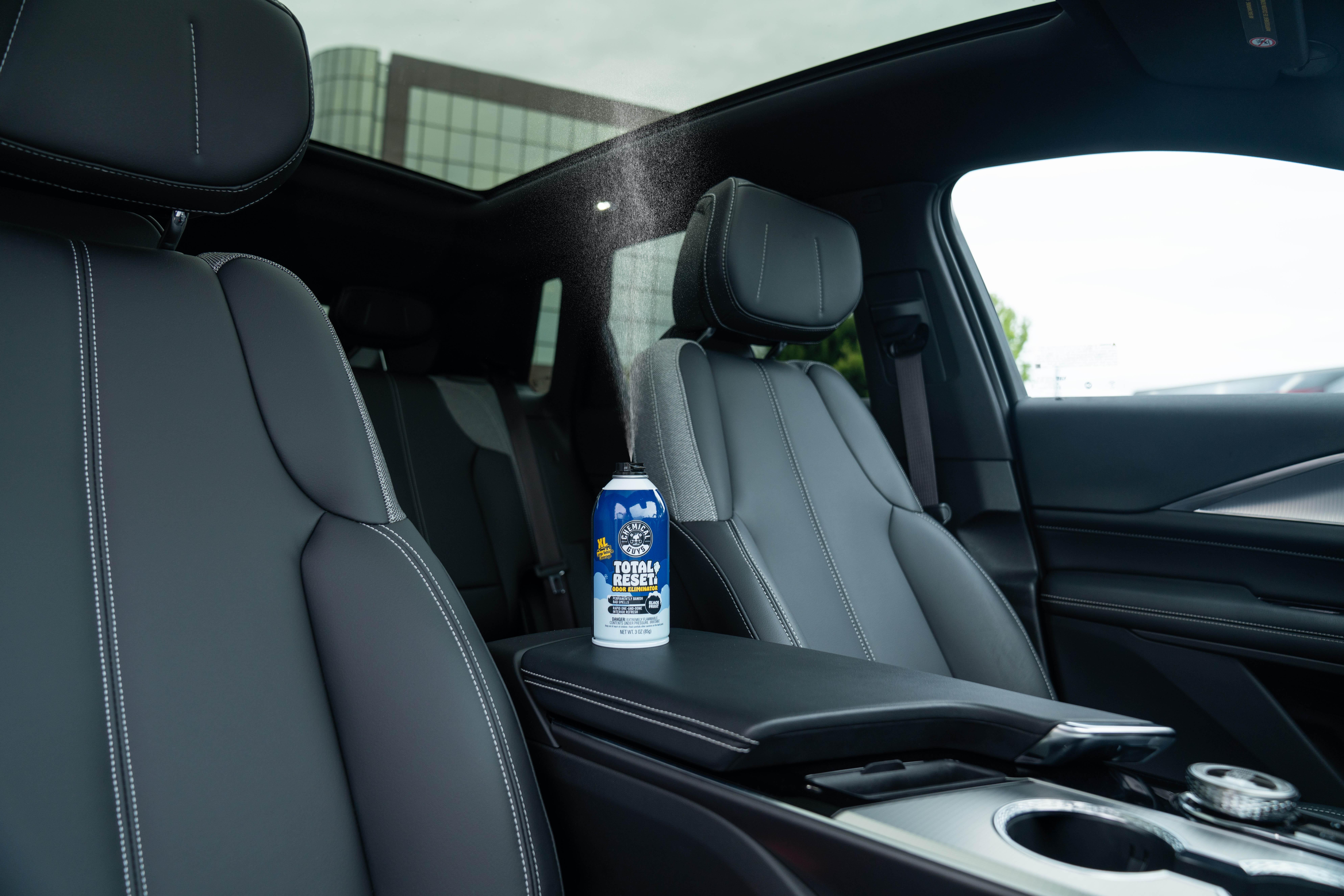 Chemical Guys Total Reset (Black Frost) 3oz