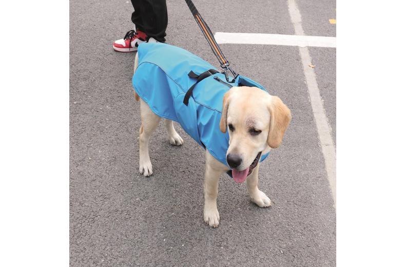 M-PETS Dog Rain Coat