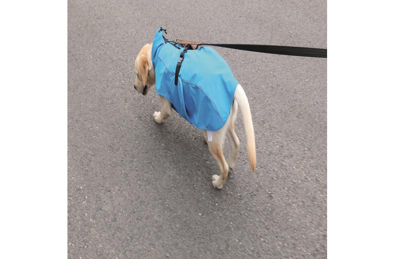 M-PETS Dog Rain Coat M-PETS Dog Rain Coat