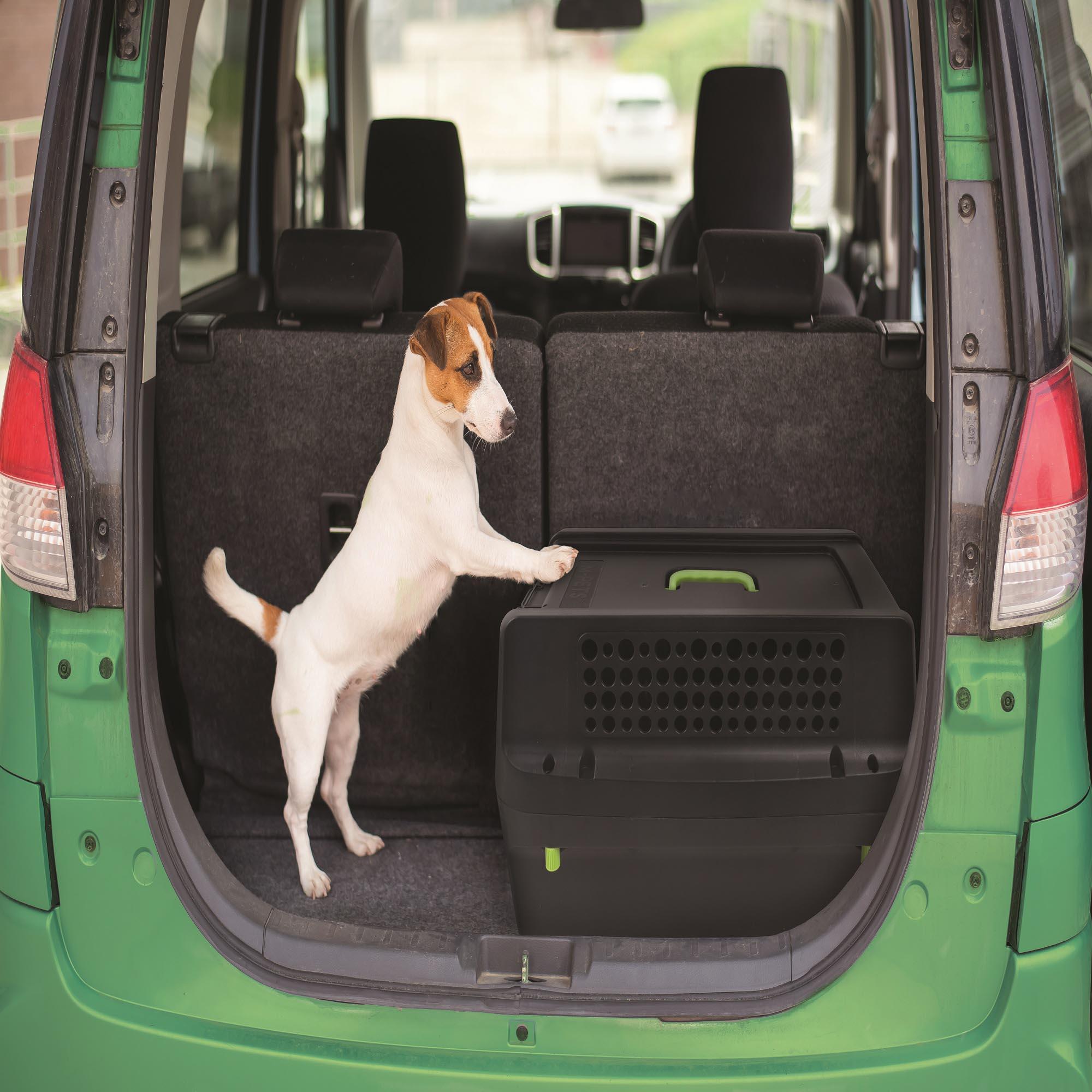 M-PETS Eco Trek Travel Carrier