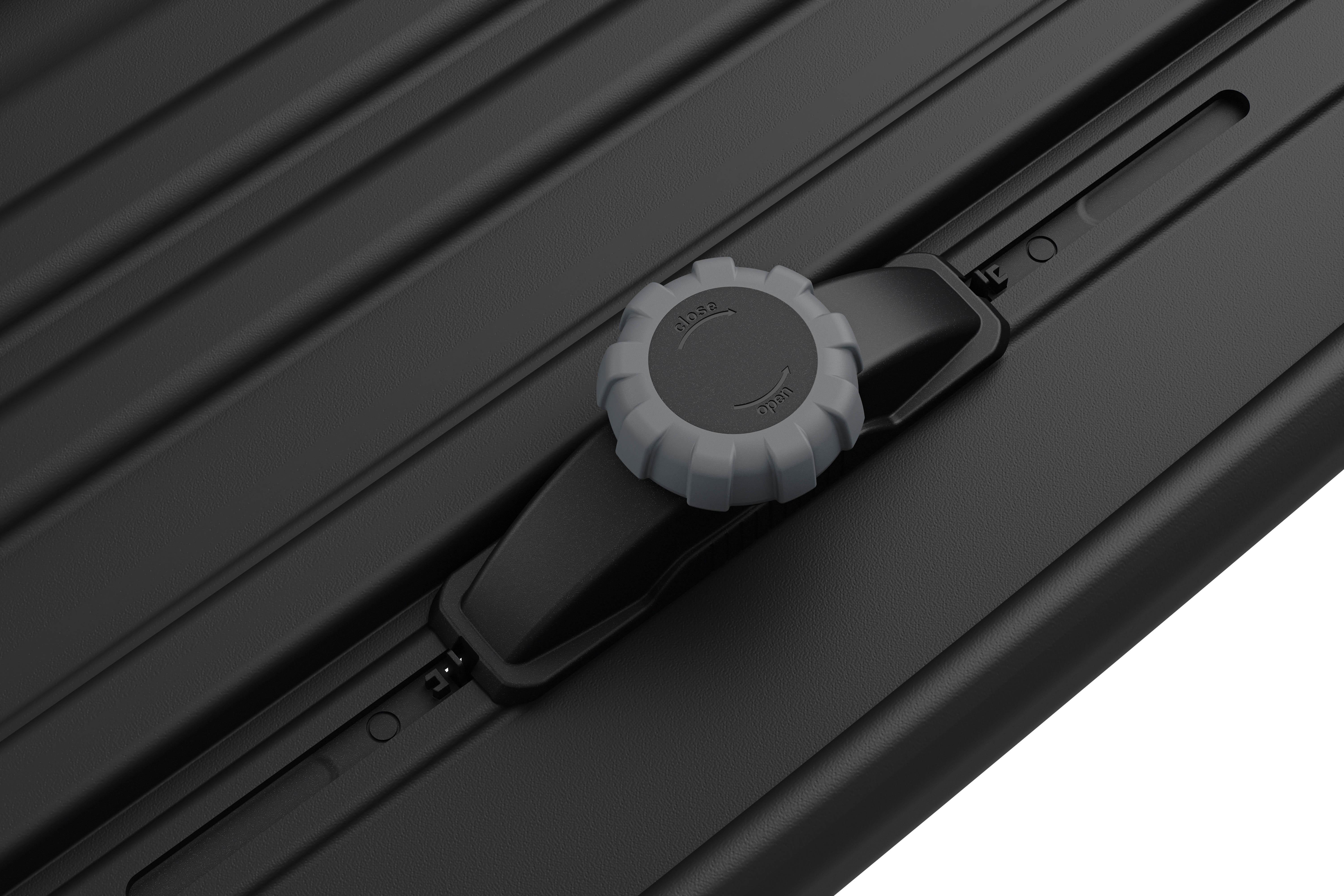 Thule Pulse 2 L