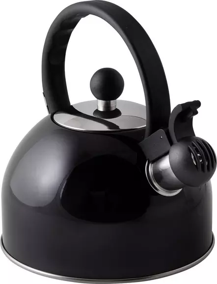 Black whistling best sale tea kettle