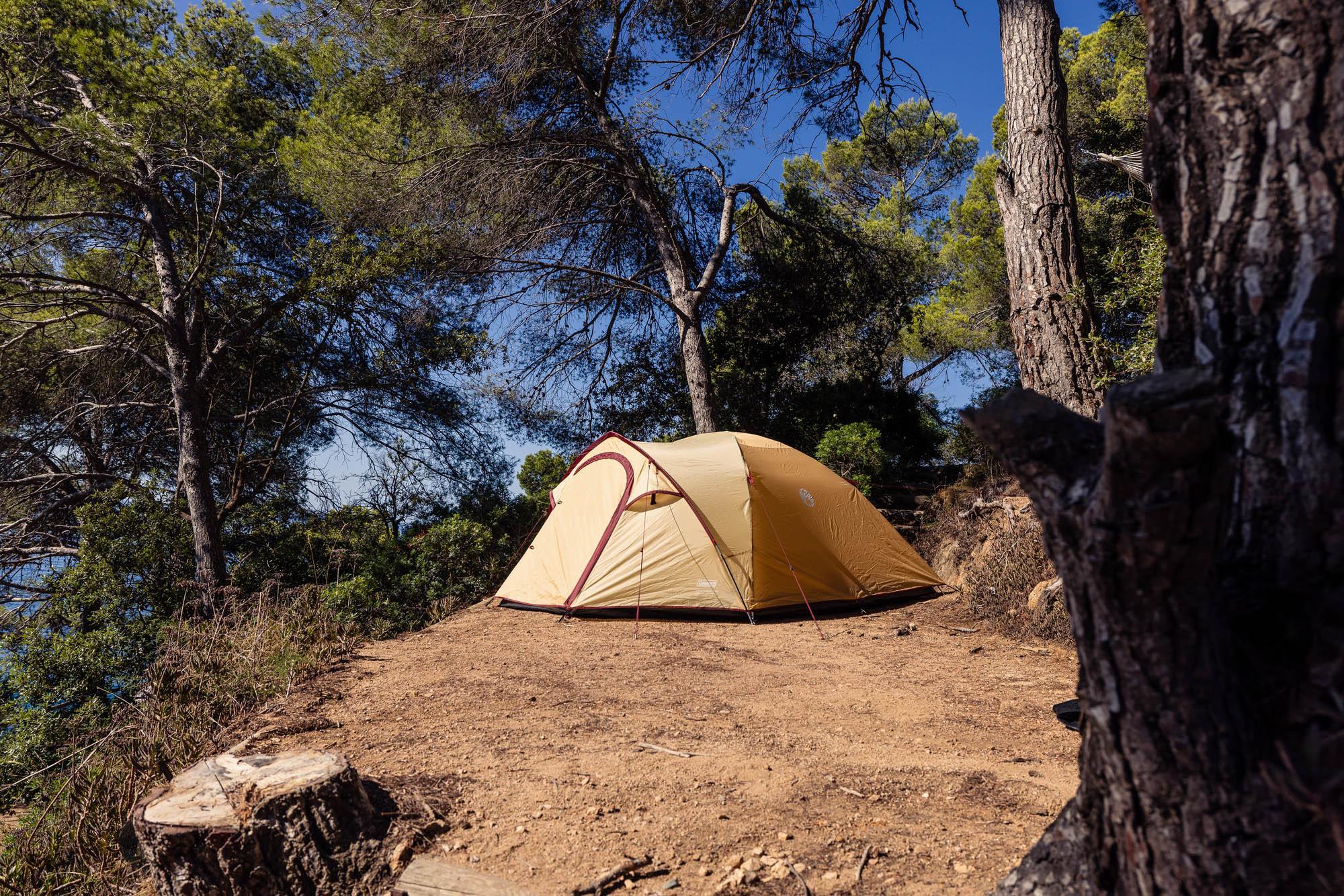 Coleman Darwin 4 Plus Summer Tent