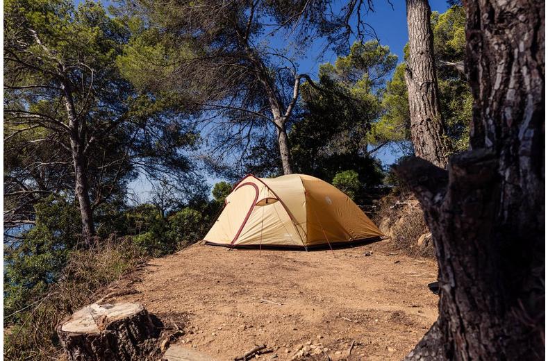 Coleman Darwin 4 Plus Summer Tent Coleman Darwin 4 Plus Summer Tent