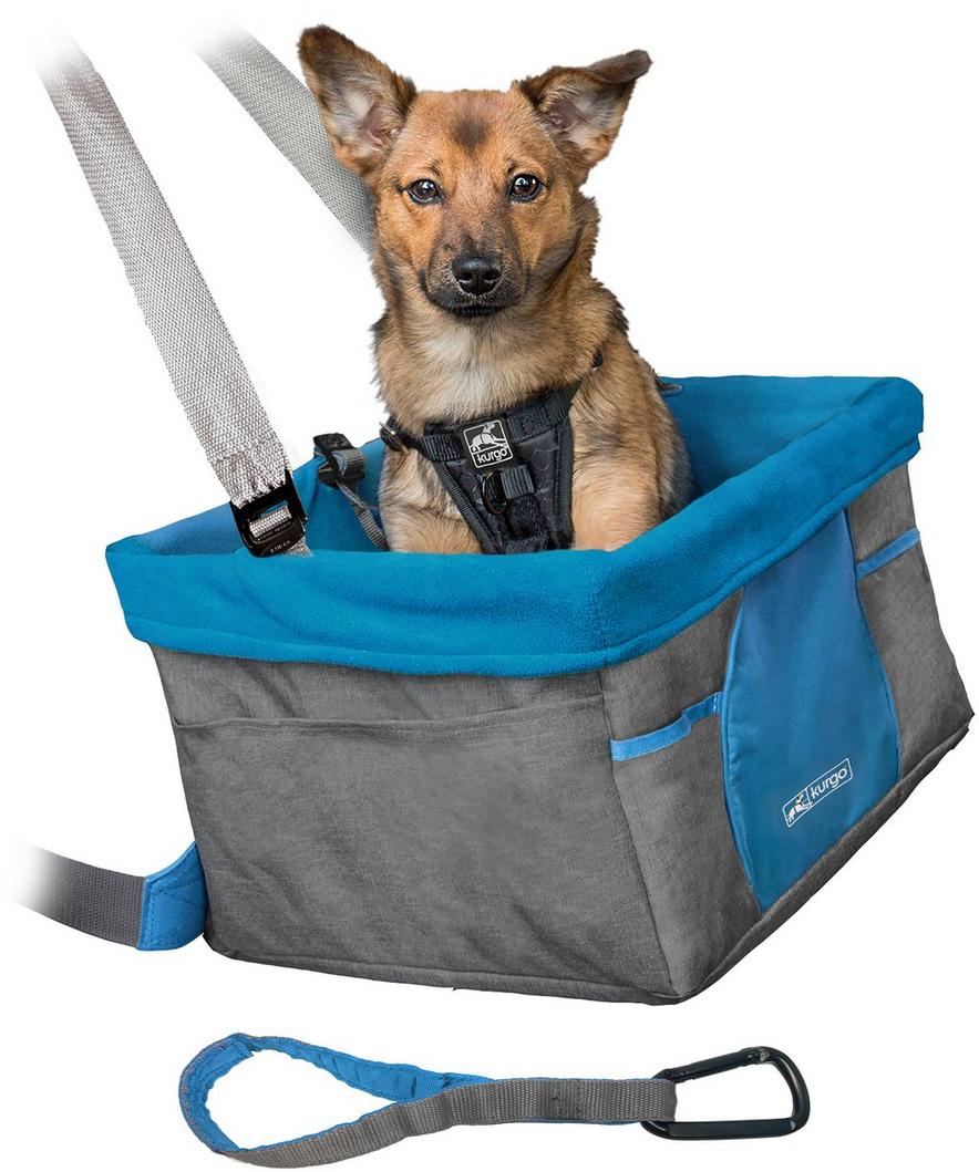 Halfords sales dog harness