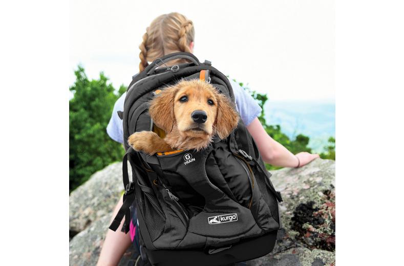 G-Train K9 Pack, Black G-Train K9 Pack, Black