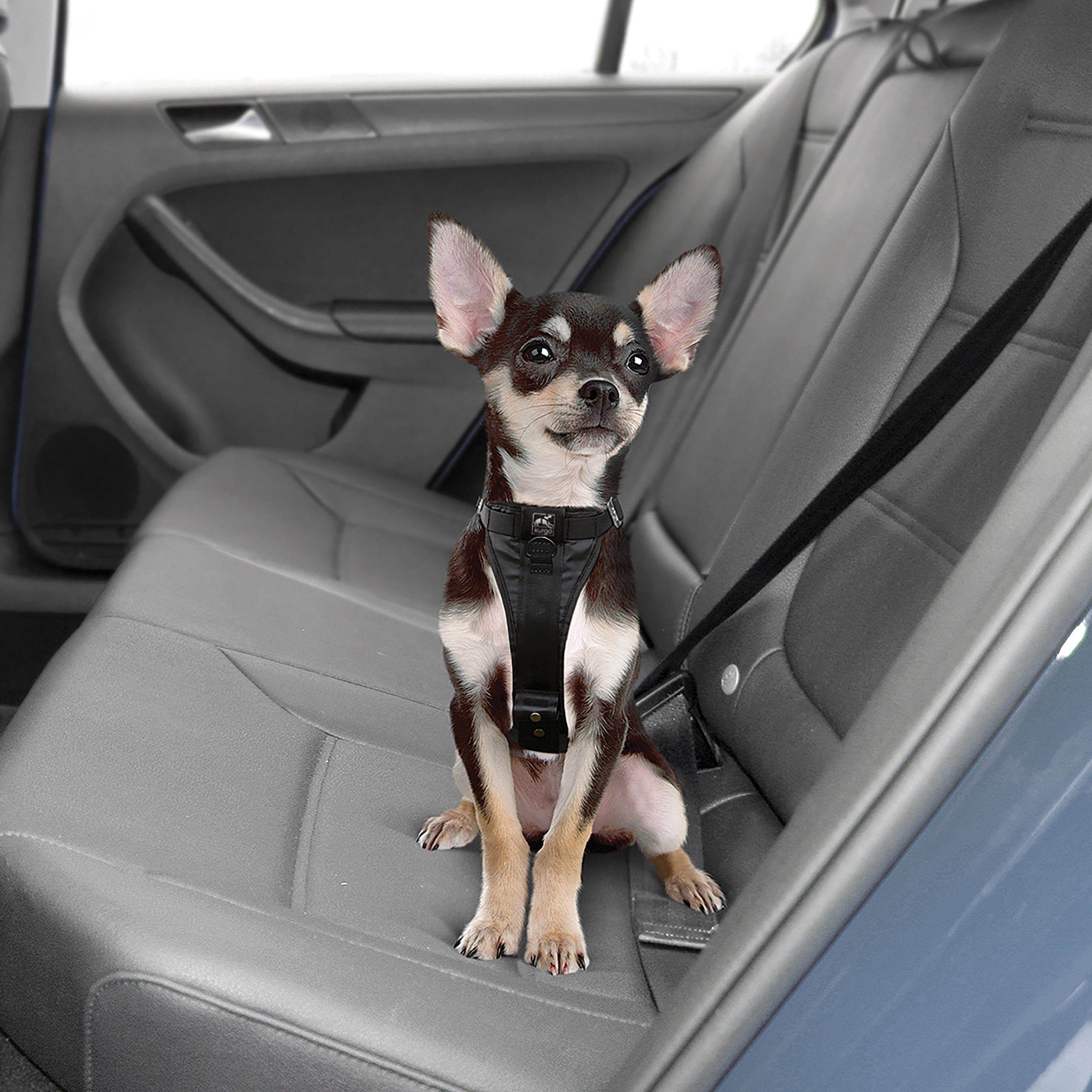 Tru-Fit Smart Harness Small