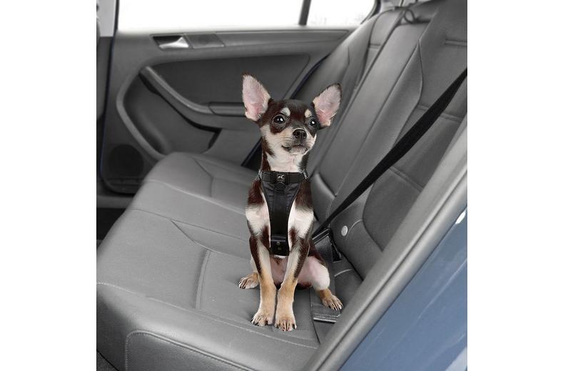 Tru-Fit Smart Harness Small Tru-Fit Smart Harness Small