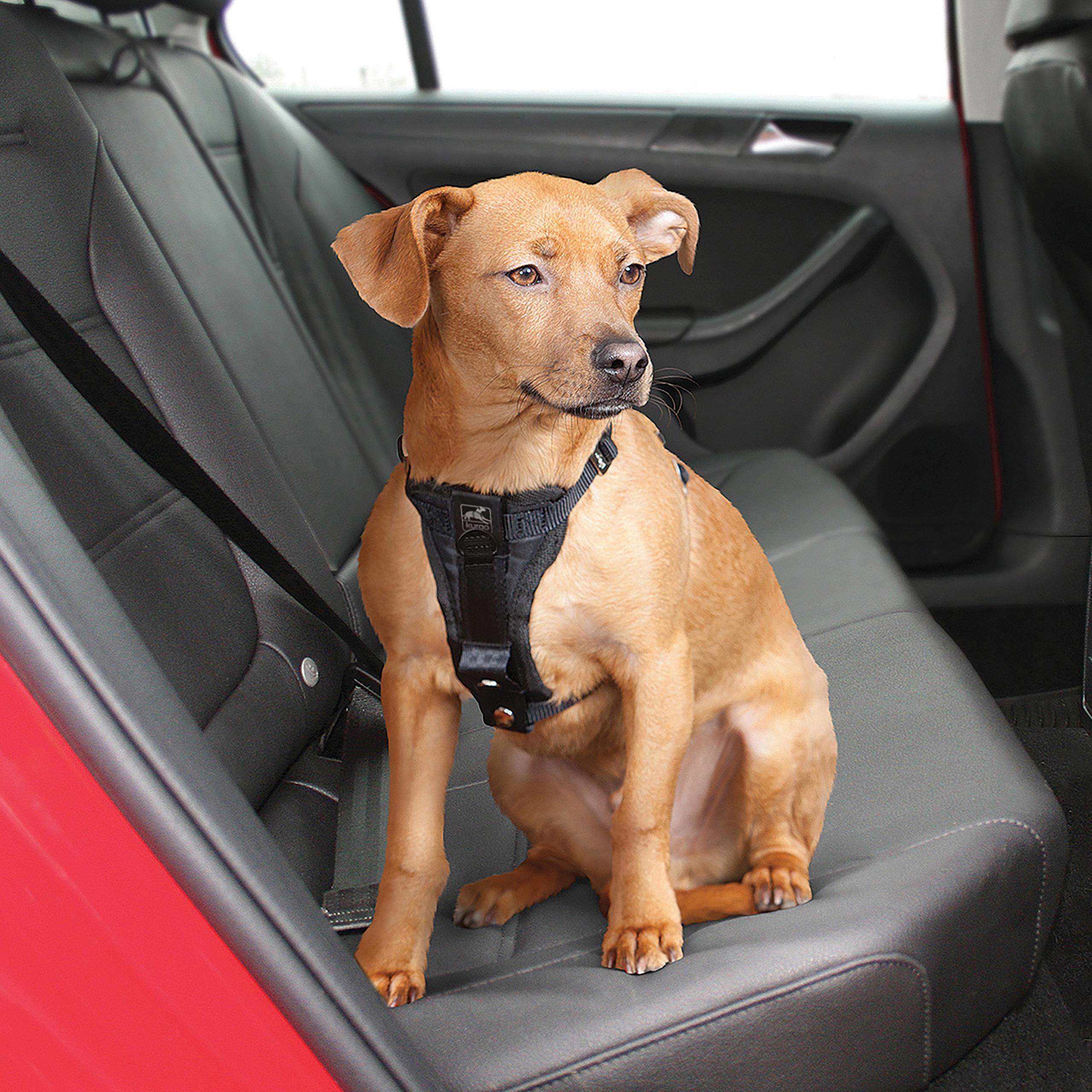 Tru-Fit Smart Harness Small