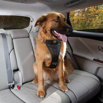 Halfords dog hot sale seat belt