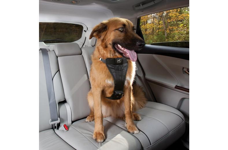 Tru-Fit Smart Harness - Medium Tru-Fit Smart Harness - Medium