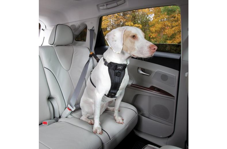 Tru-Fit Smart Harness - Medium Tru-Fit Smart Harness - Medium