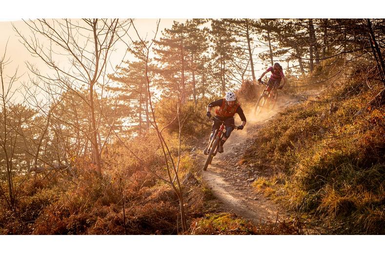 Schwalbe Hans Dampf TLR Addix Performance Bike Tyre Schwalbe Hans Dampf TLR Addix Performance Bike Tyre