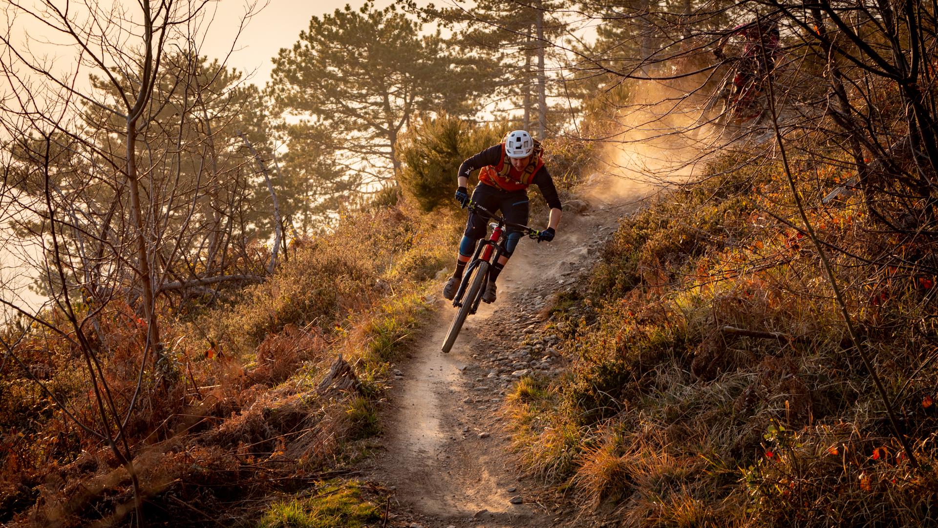 Schwalbe Hans Dampf TLR Addix Performance Bike Tyre