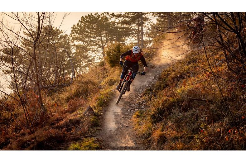 Schwalbe Hans Dampf TLR Addix Performance Bike Tyre Schwalbe Hans Dampf TLR Addix Performance Bike Tyre