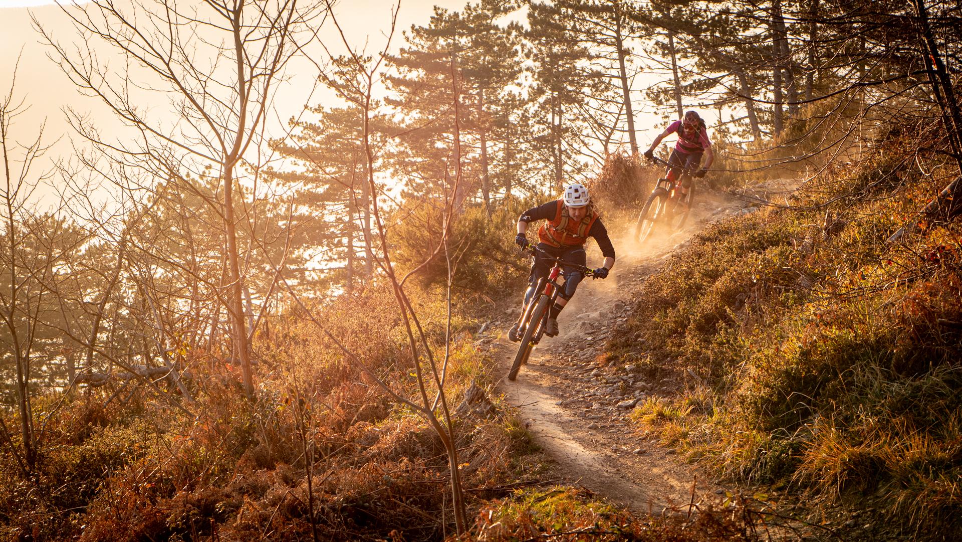 Schwalbe Magic Mary Folding Bike Tyre