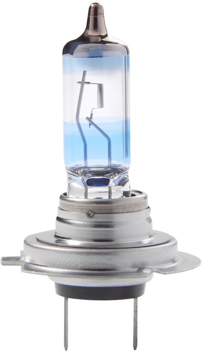 OSRAM Cool Blue® Intense W5W, up to 4,000 K, Halogen Signal Lamp, Folding  Box (10 Bulbs) : : Lighting