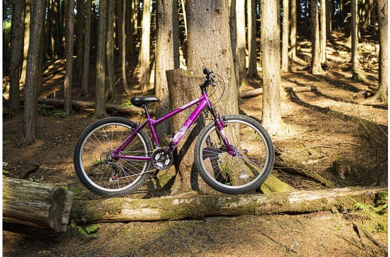 Apollo Jewel Womens Mountain Bike - Silver/Blue - M Frame Apollo Jewel Womens Mountain Bike - Silver/Blue - M Frame