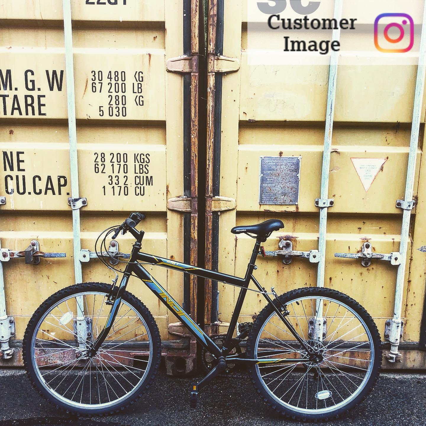 Indi ATB 1 Mens Mountain Bike - L Frame