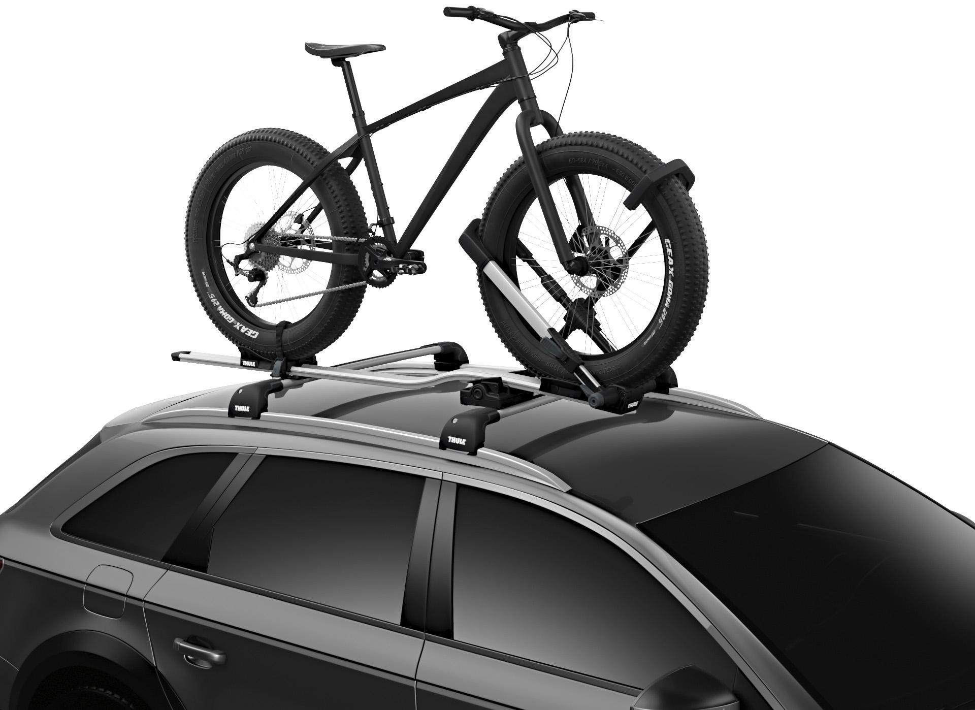 bike and ski rack