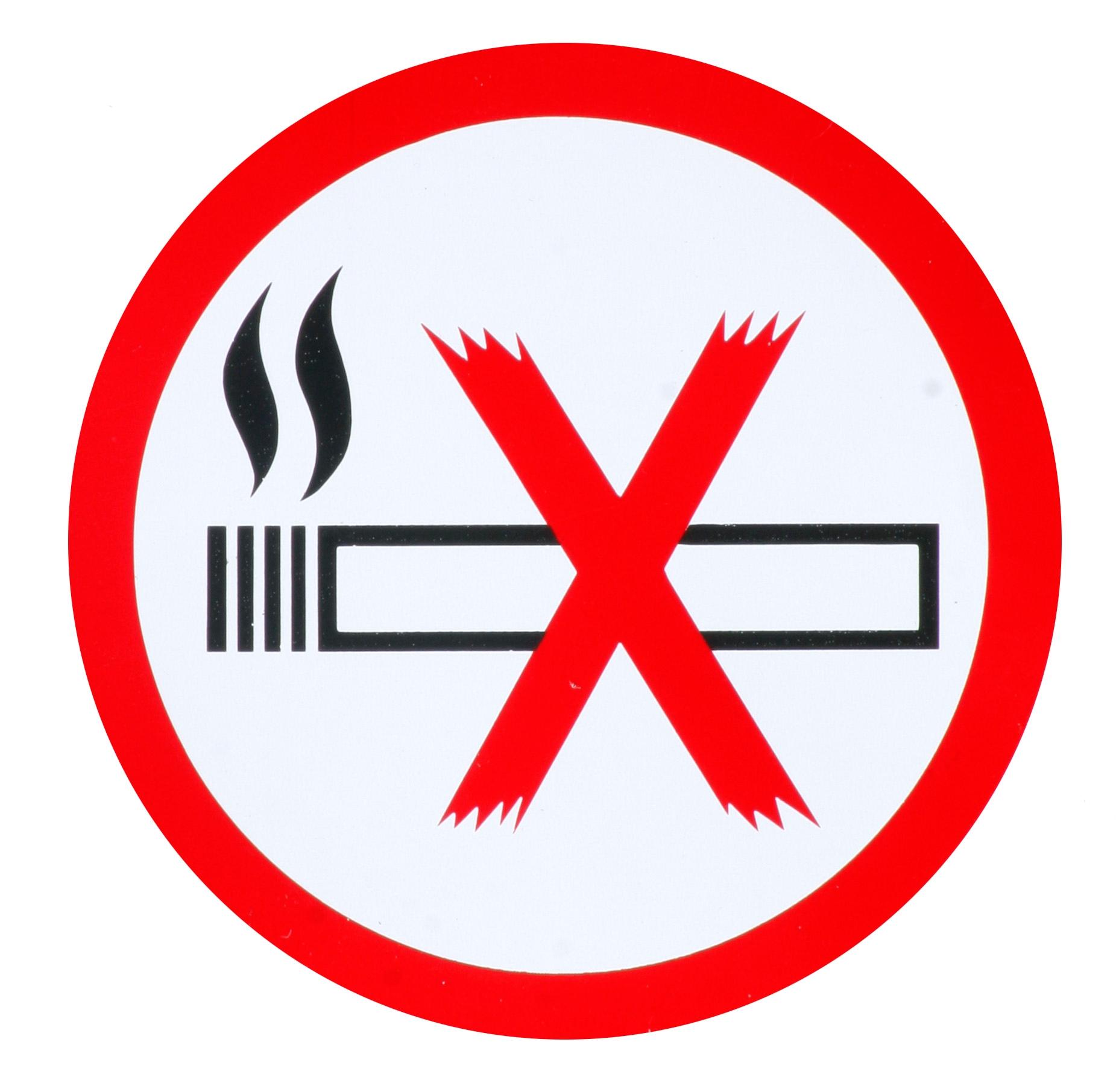 No Smoking Car Sticker - Small