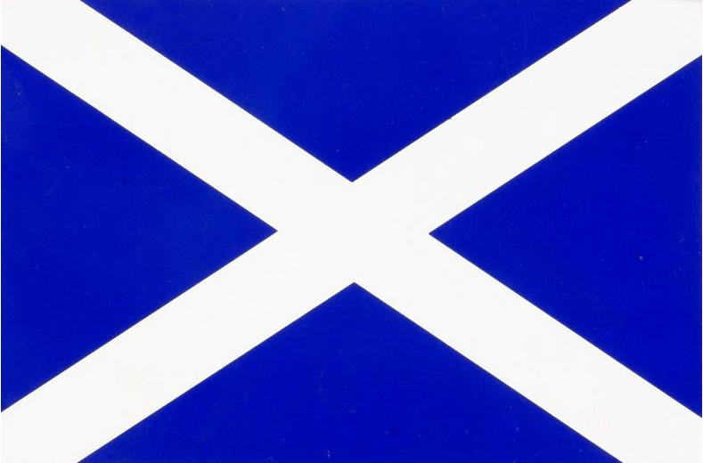 Scotland Flag Car Sticker - Medium Scotland Flag Car Sticker - Medium