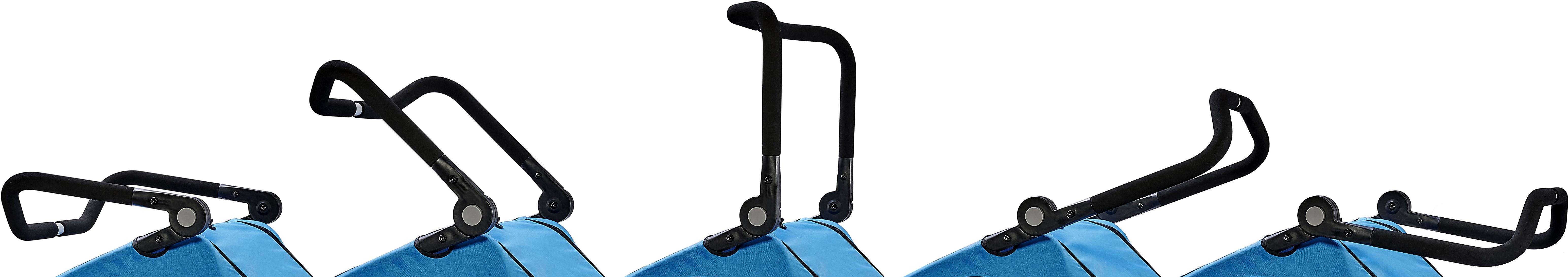 Halfords Advanced Double Bike Trailer