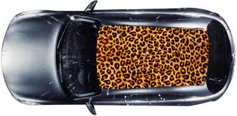 LuxCar Printed Roof Wrap - Leopard