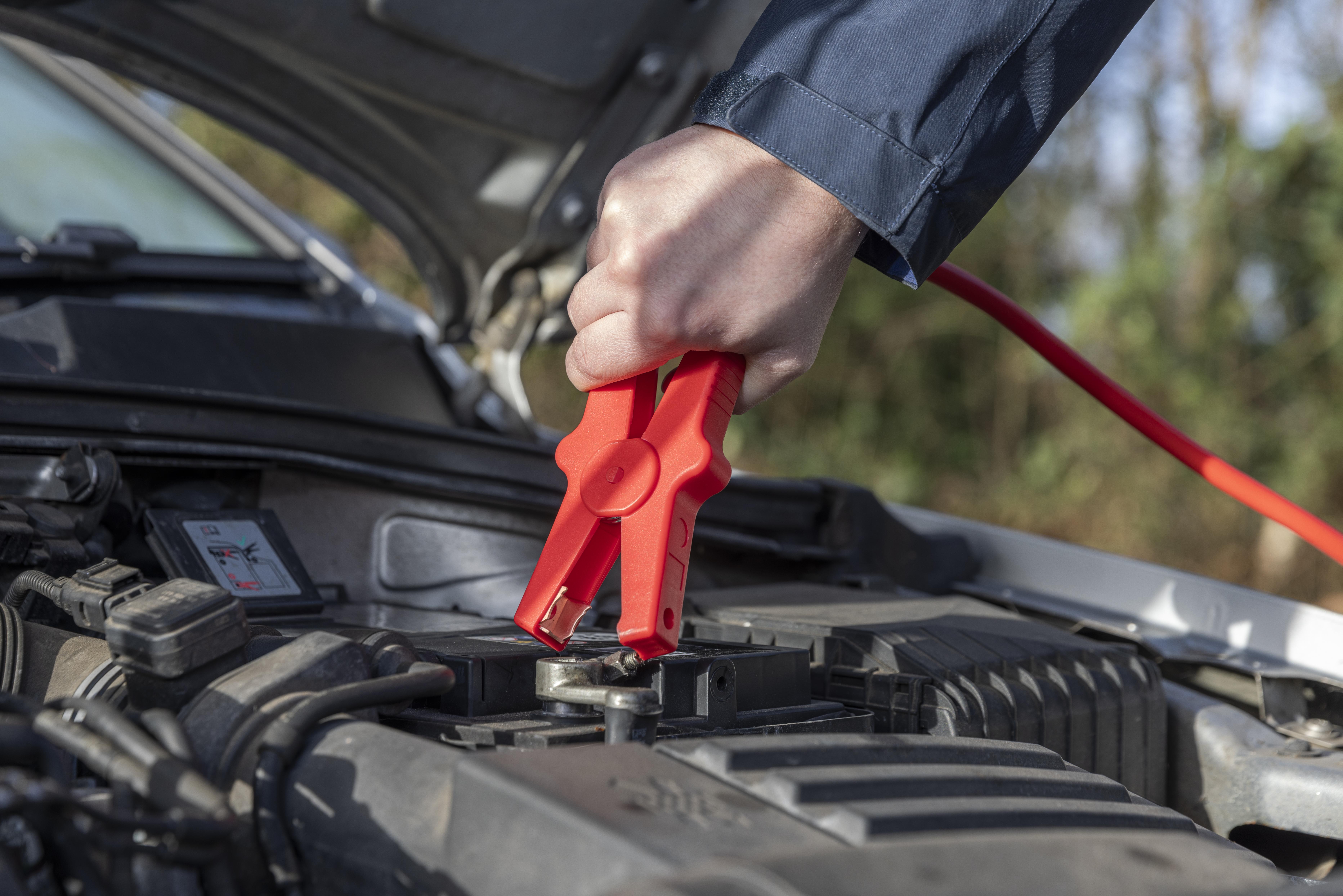 Halfords Up to 3.5L Jump Leads