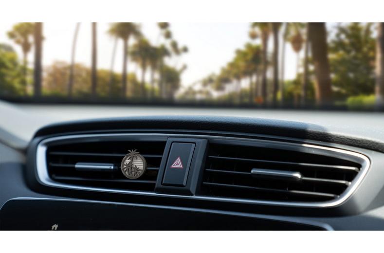 California Scents Vent Sticks - Ice California Scents Vent Sticks - Ice