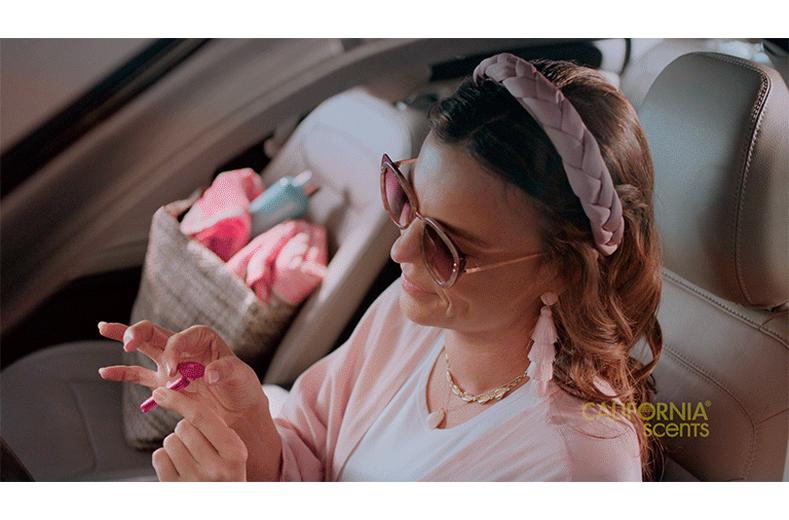 California Scents Vent Sticks - Newport New Car California Scents Vent Sticks - Newport New Car