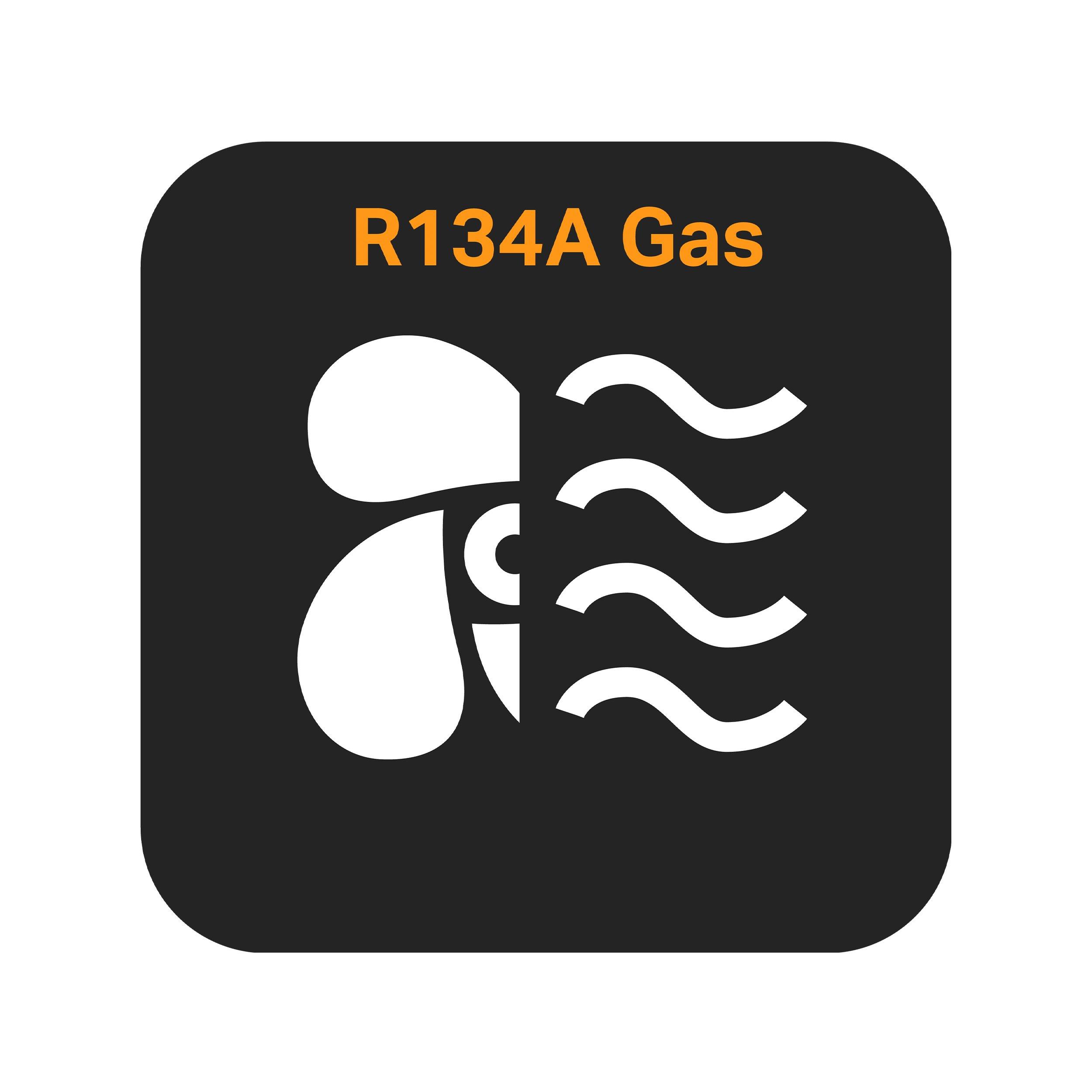 Air Con Regas Service (R134a)