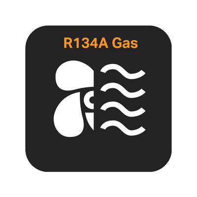 Air Con Regas Service (R134a) Air Con Regas Service (R134a)