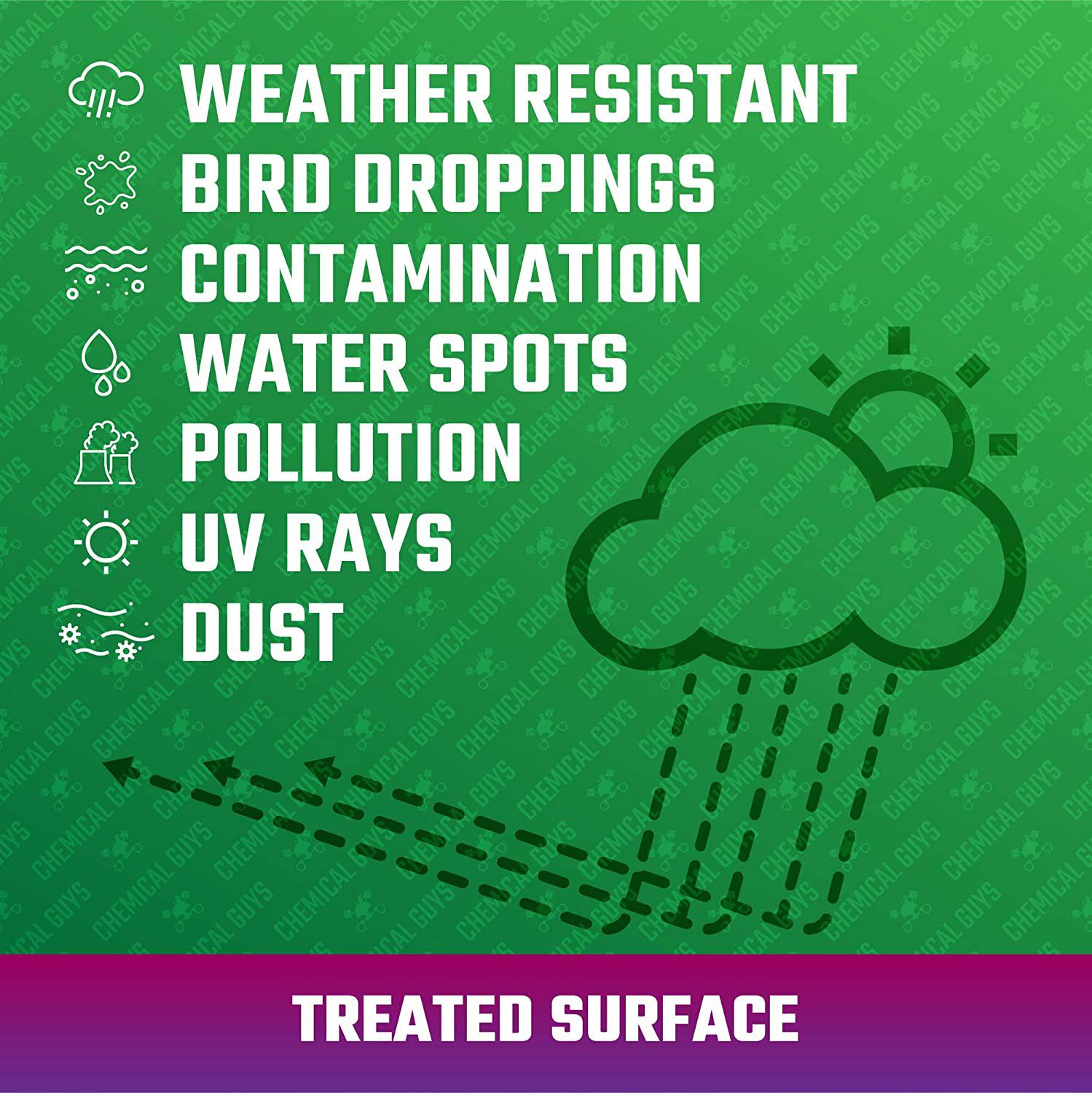 Chemical Guys HydroSpeed Ceramic Quick Detailer 16oz