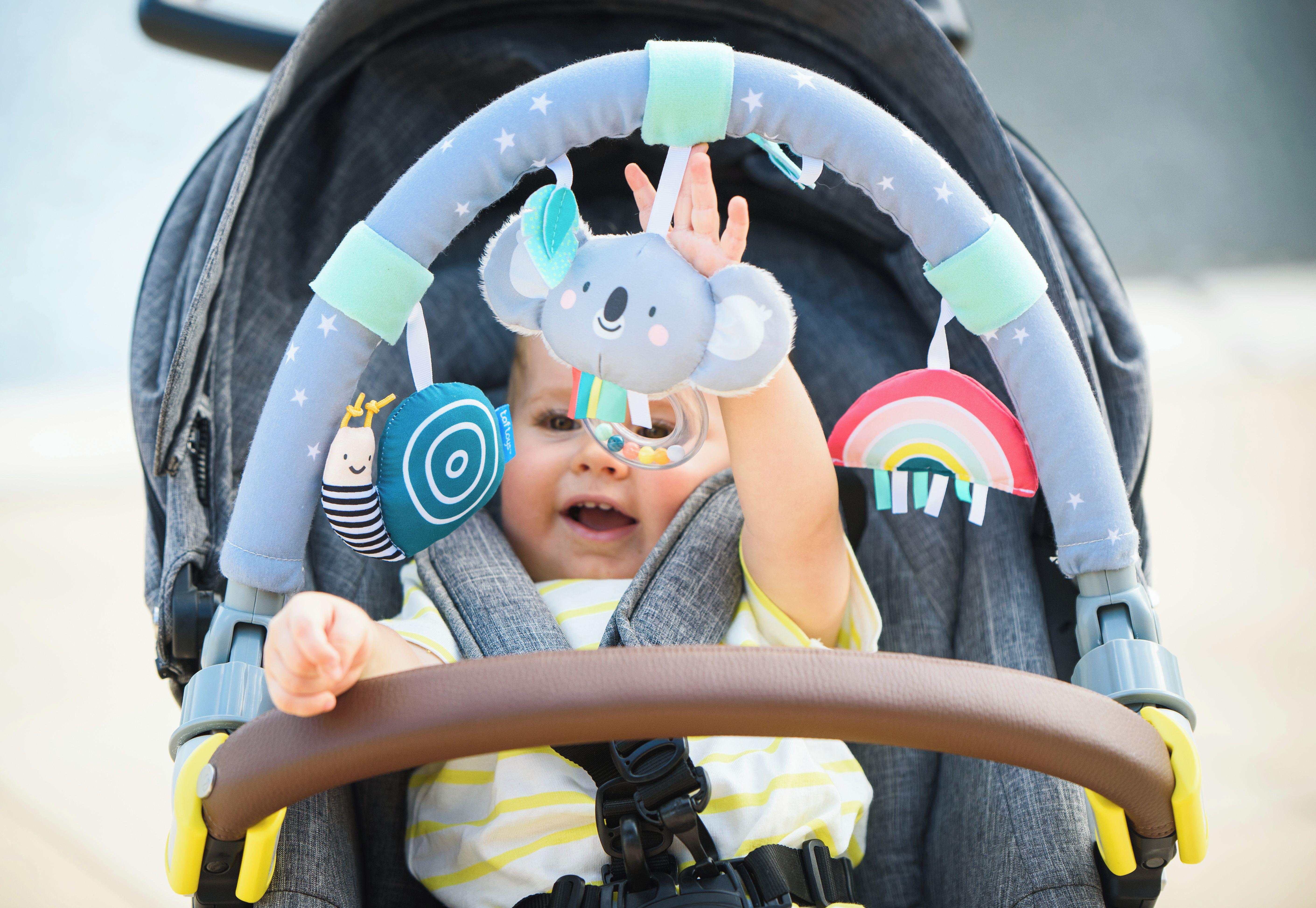 Taf Toys Koala Daydream Arch